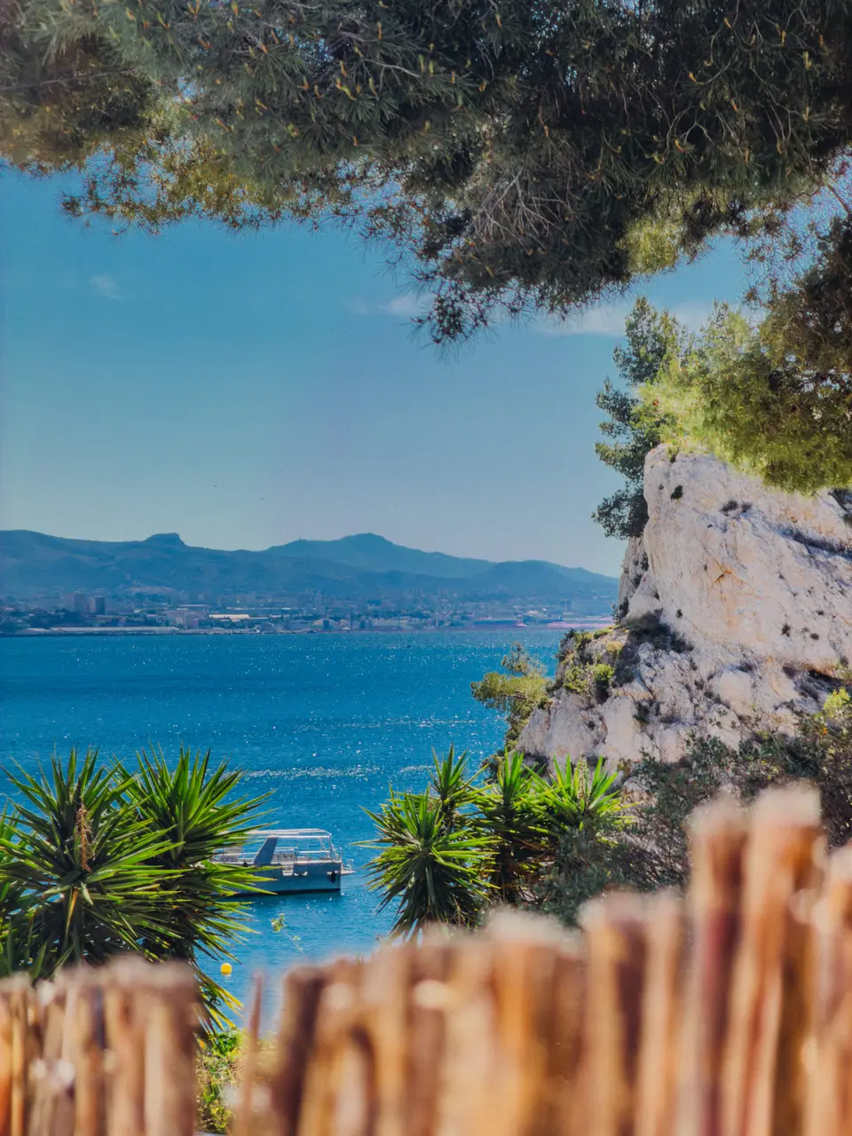 La mer à travers les pins, depuis le village