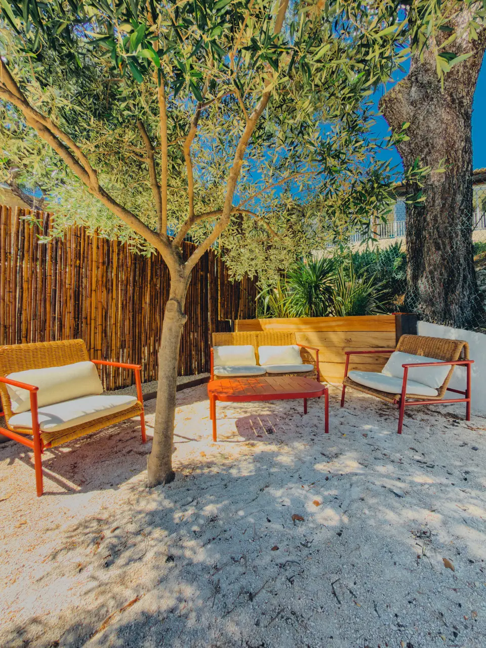 Le bain de soleil sous l'olivier, dans le coin jardin